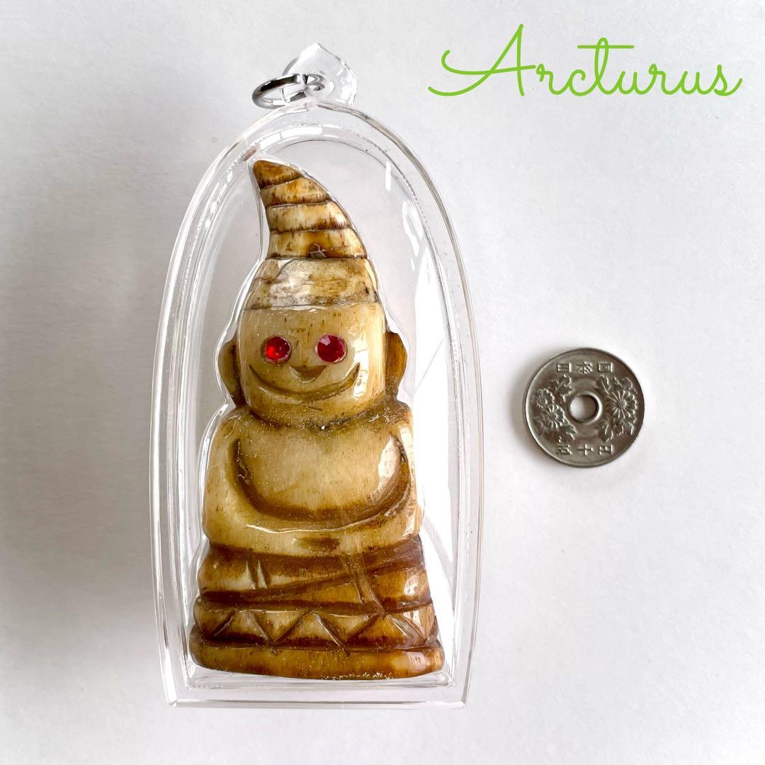 幸運を呼び覚ます　神ンガン様　落雷で死んだ水牛と象の骨　アムナットマハビロ尊者