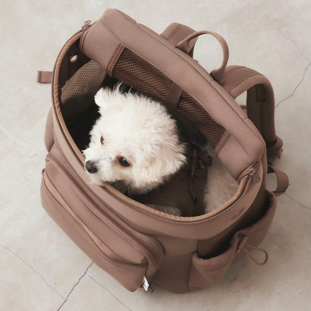citydog シティドッグ ネオプレーンバックパックキャリー