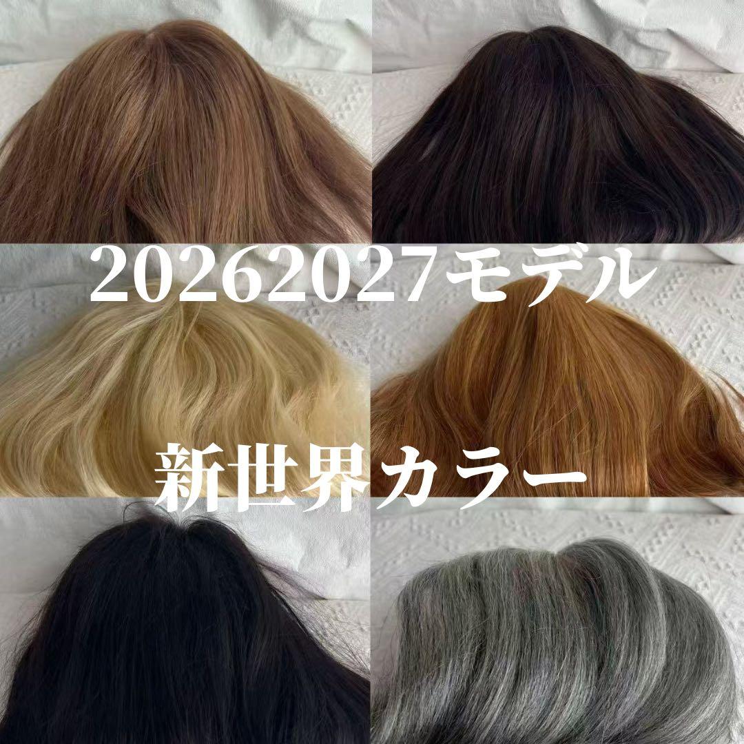 2025新世界　人毛　フルウィッグ　ウィッグ　シルクスキン　医療ウィッグ　レミー
