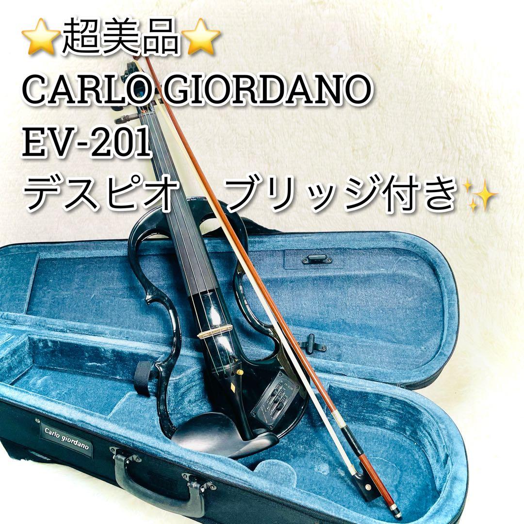 超美品　カルロジョルダーノ　サイレントバイオリン　EV-201 付属品多数