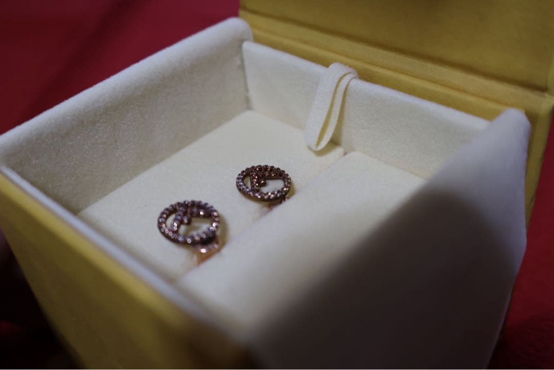 エフ イズ フェンディ ピアス