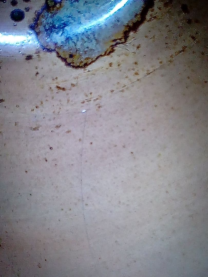 イギリス ロイヤルドルトン 1910年代 葉文壺 キズ有り