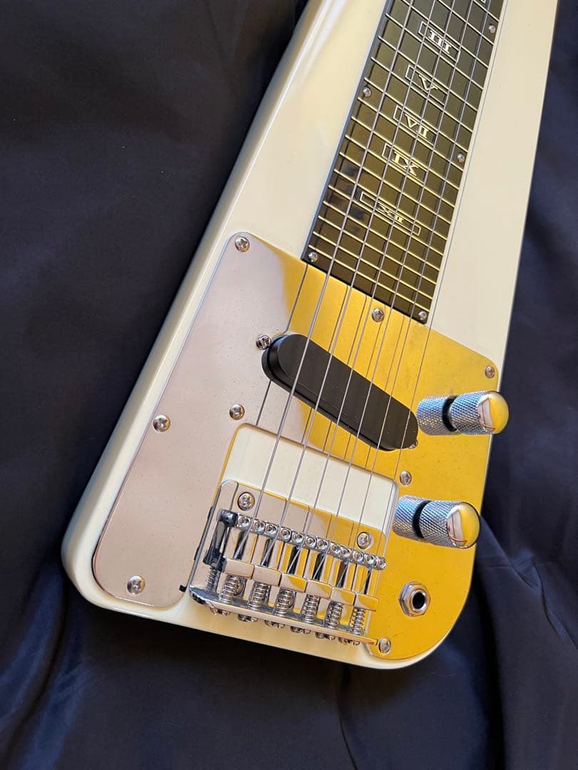 Artisan EA-3 スチールギターハワイアンスティールギター専用ギグバッグ