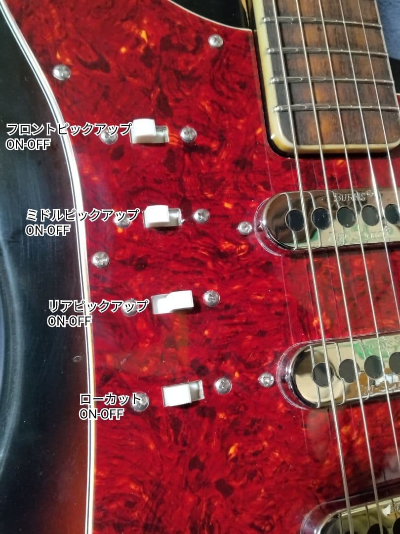 ホ*ラ様 EKO ヴィンテージ　ビザールギター　カスタム品