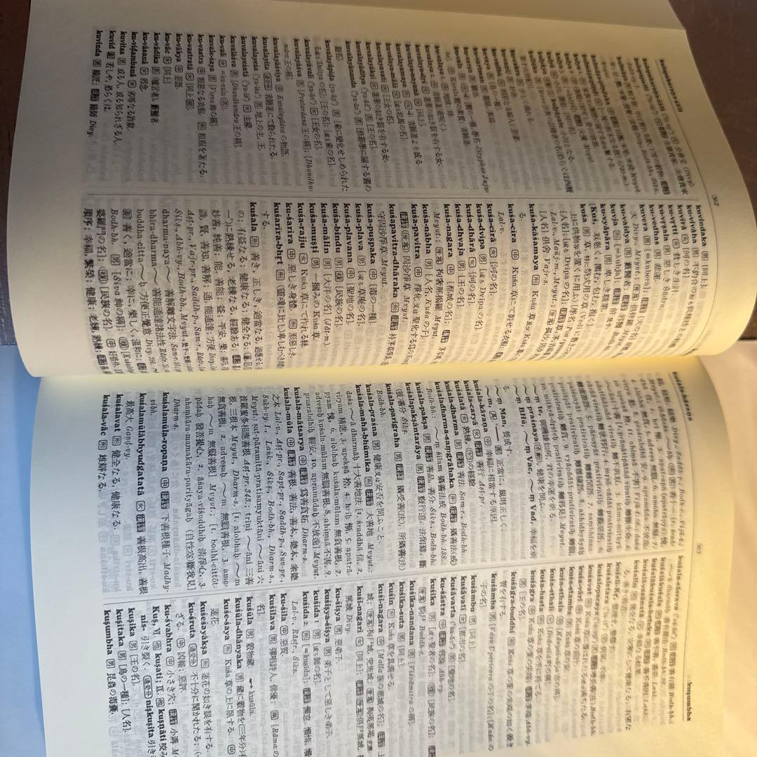 梵和大辞典 : 漢訳対照