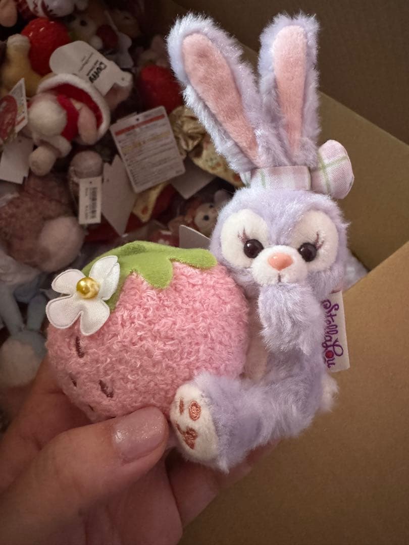 リーナベル　ステラルー