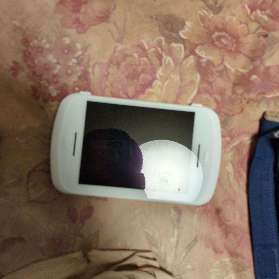 中華エミュレーターRGSIide