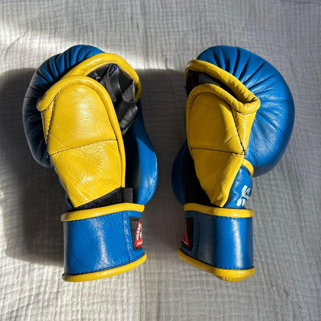 ISAMI パウンドグローブ 青/黄