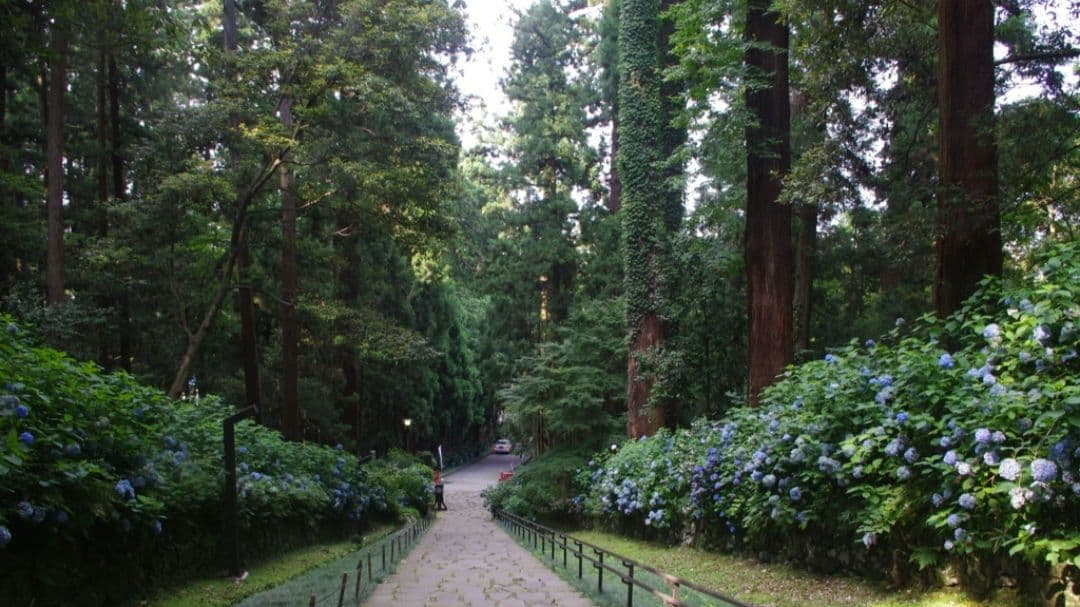 PENTAX K−X ダブルレンズ　一眼レフ　デビュー⚡️スマホ転送⚡️超望遠