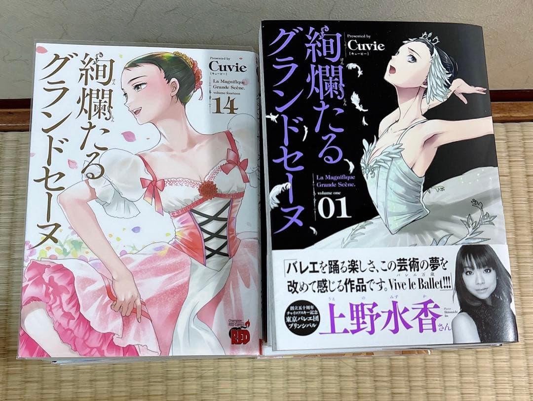 絢爛たるグランドセーヌ1〜25巻