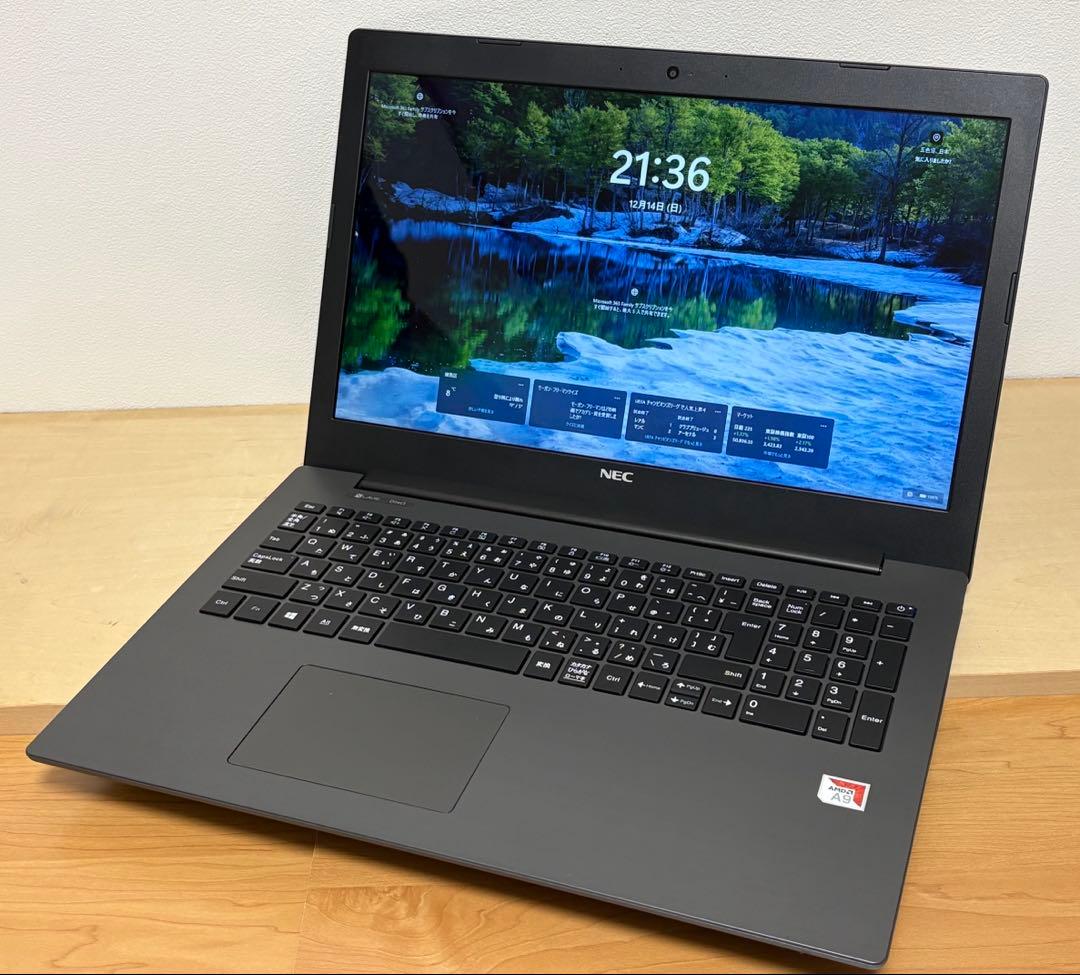 Windowsノート本体 LAVIE Direct NS(A)GN31WQ (A9/16GB/120GB)