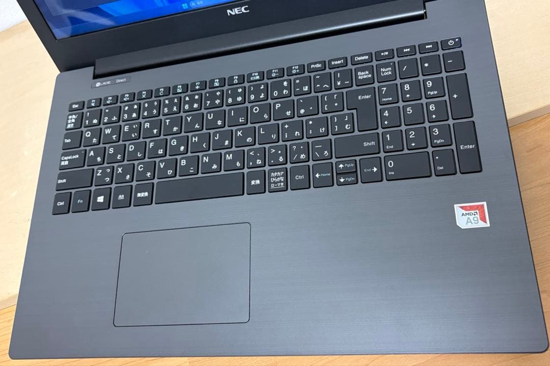 Windowsノート本体 LAVIE Direct NS(A)GN31WQ (A9/16GB/120GB)