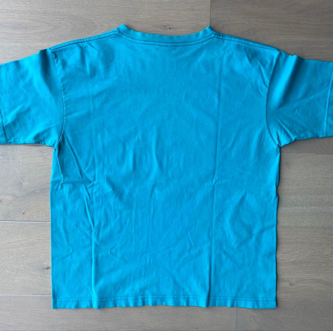 90年代 パタゴニア Tシャツ patagonia 雪なしタグ USA Lサイズ