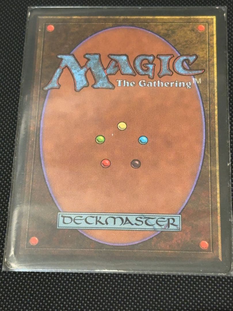 Taiga 土地カード マジック：ザ・ギャザリング