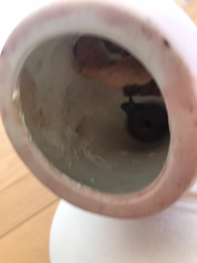 シモン＆ハルビク　ビスクドール