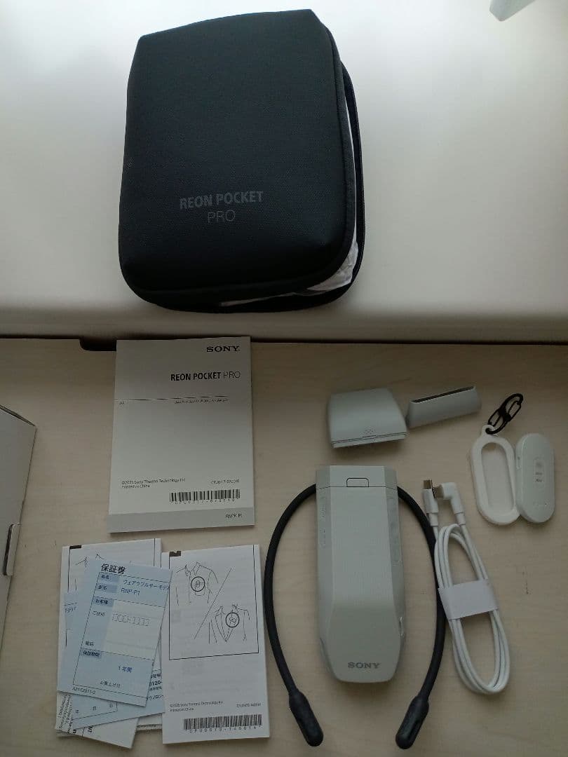 SONY REON POCKET PRO RNPK-P1 レオンポケット プロ