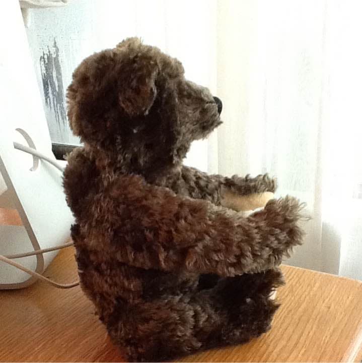 ザ*A様 シュタイフ テディベア