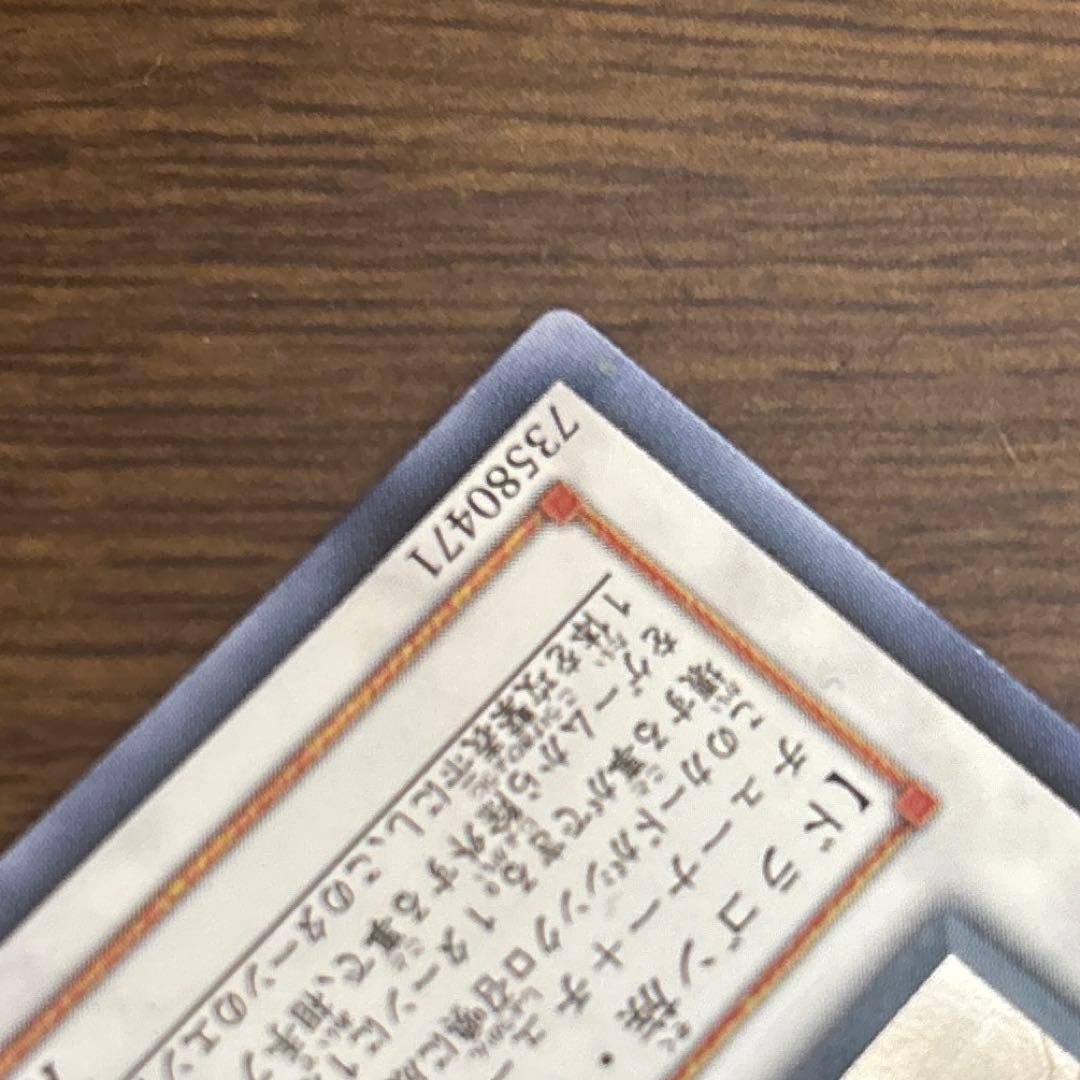 ブラック・ローズ・ドラゴン ホロ