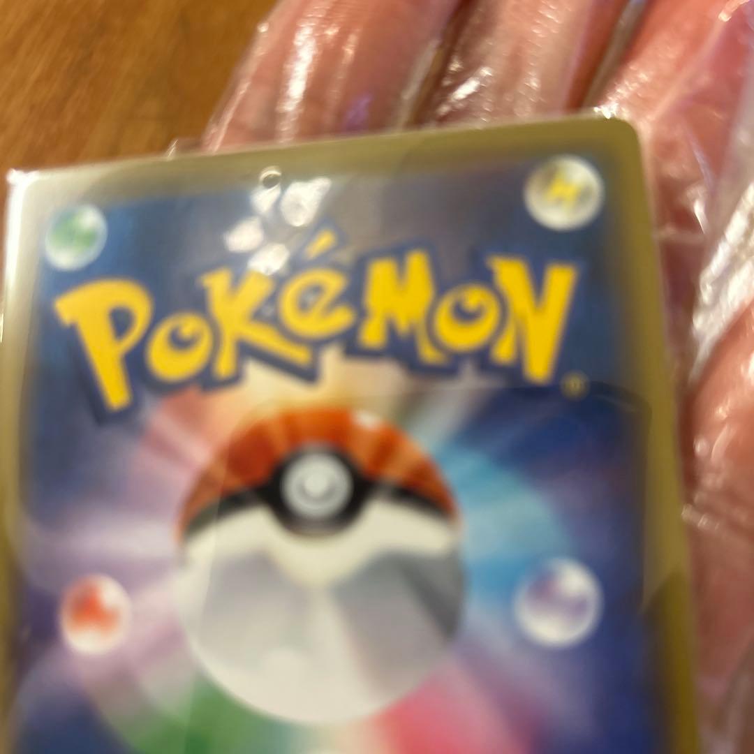 やす0816さま専用かんこうきゃく SR SM12a TAG TEAM