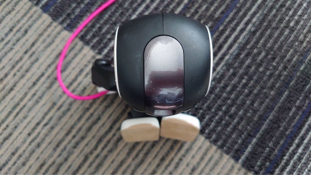 SHARP ROBOHON モバイル型ロボット電話SR-01M-W(ジャンク品)