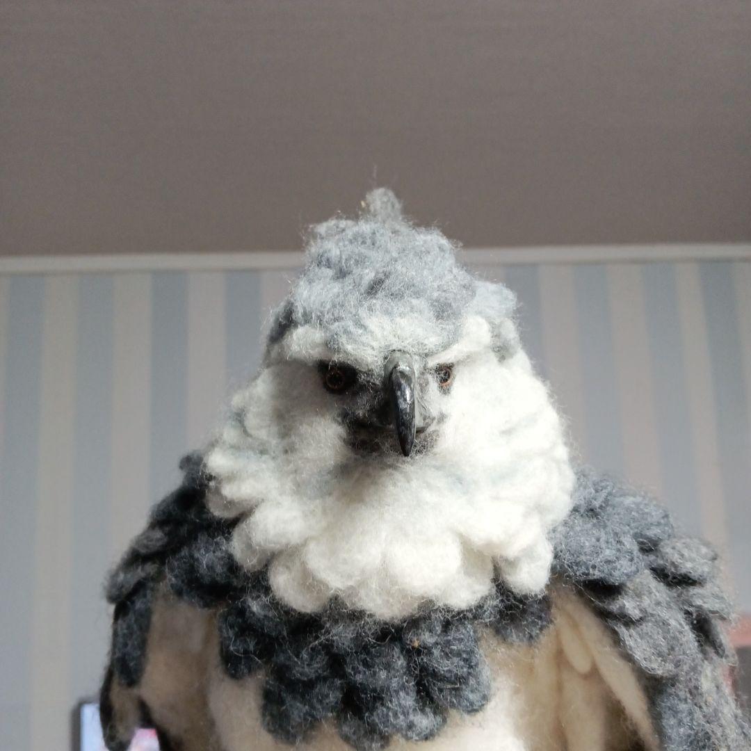 ハーピーイーグル オウギワシ 羊毛フェルト 鳥 ぬいぐるみ 鷹 鷲 猛禽類