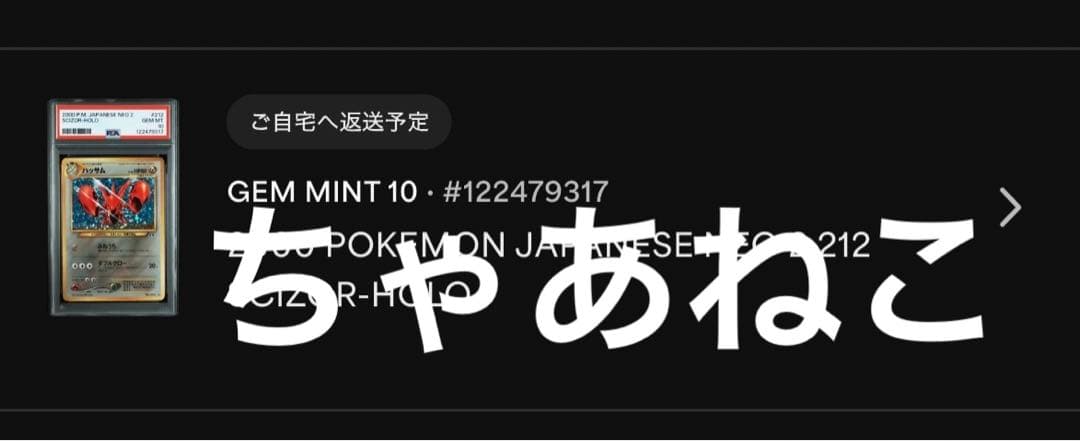 PSA10＊旧裏 ハッサム neo 遺跡をこえて 世界406枚 Scizor