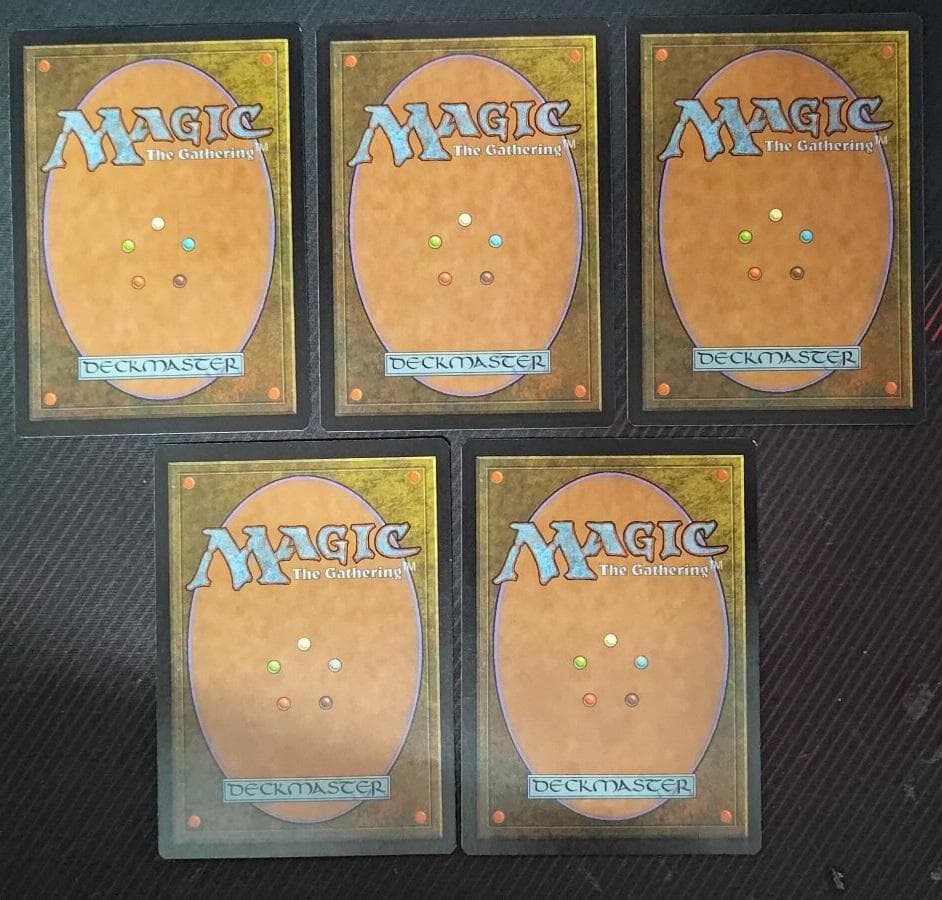 【MTG】APACランド 開封済み 5枚セット