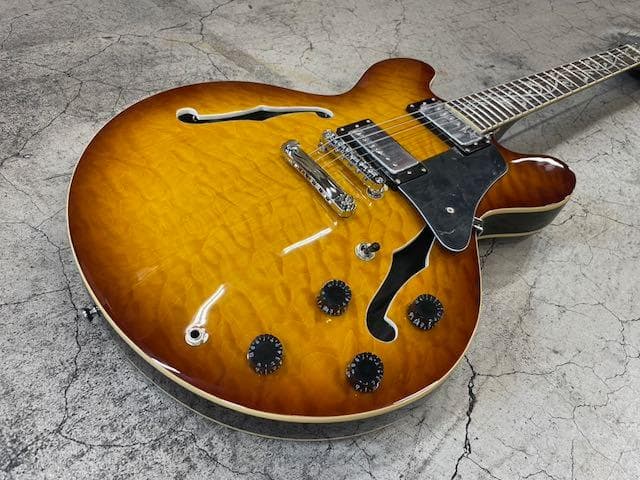 170 gfc GSH-500TL VB エレキギター アウトレット