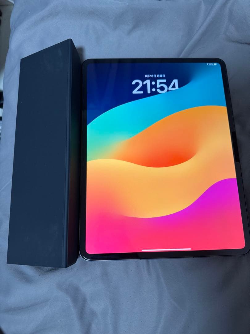 iPad Pro13インチ M4 256GB Wi-Fi+Cellular