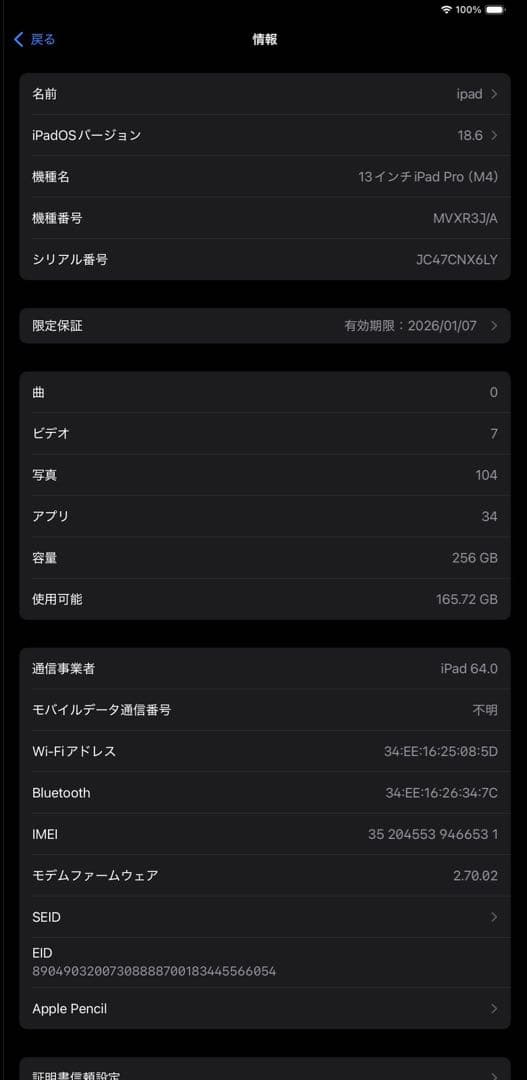 iPad Pro13インチ M4 256GB Wi-Fi+Cellular