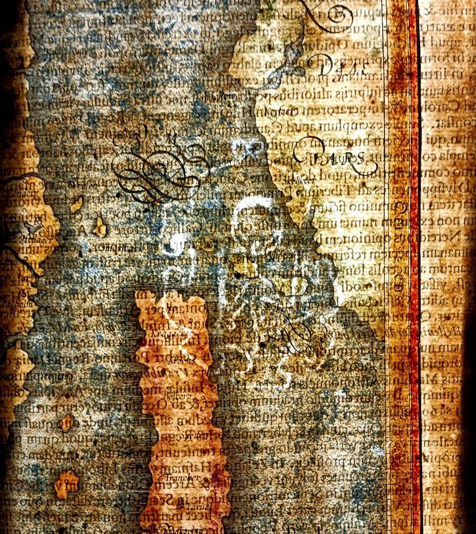 額装品　G.MERCATOR メルカトル　「FIONIA」デンマーク　稀少　美品