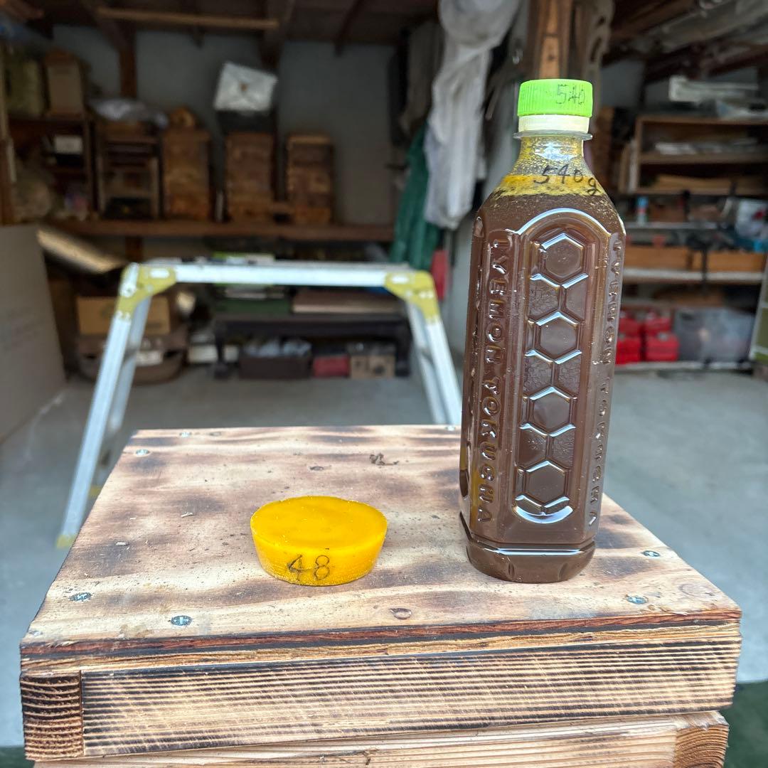 ミツバチ巣箱　25-B−157