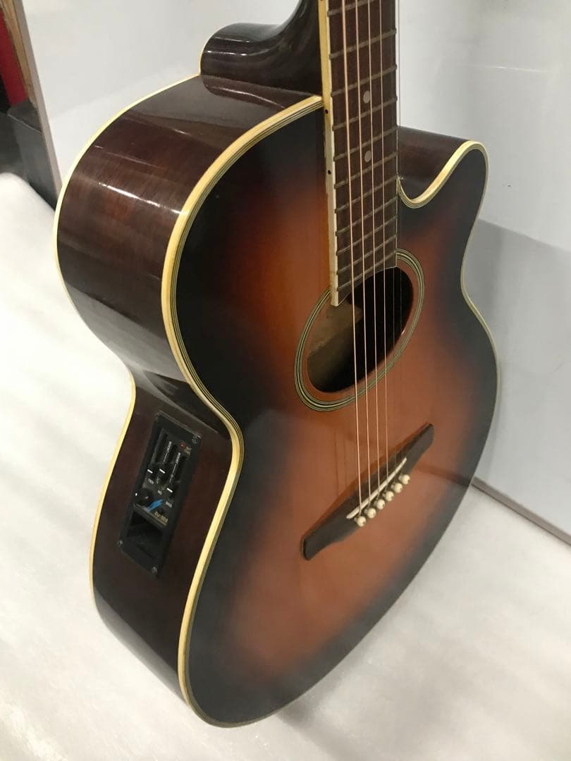 Aria FET-500 EBS Elecord Series エレアコ