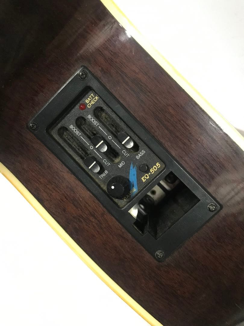 Aria FET-500 EBS Elecord Series エレアコ