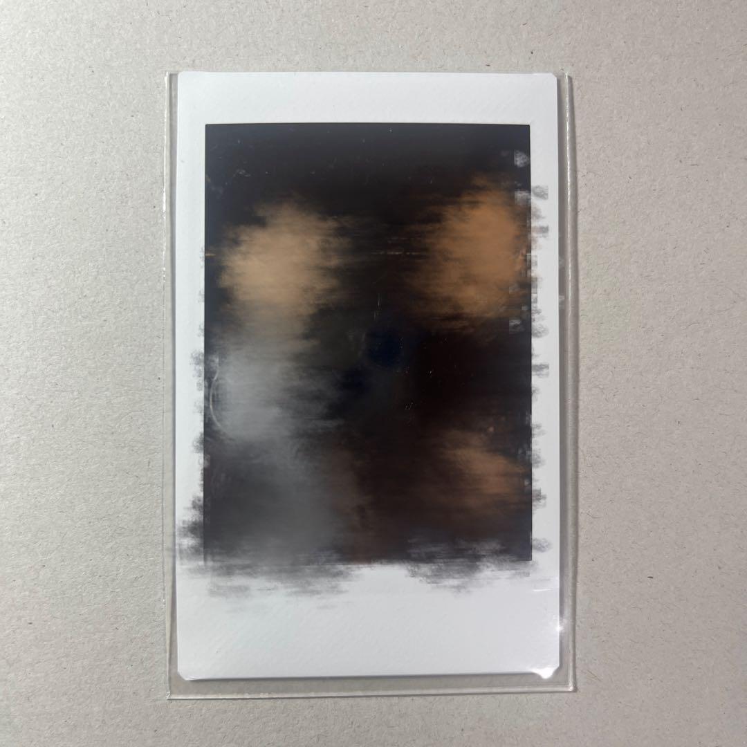 家族チャーハン