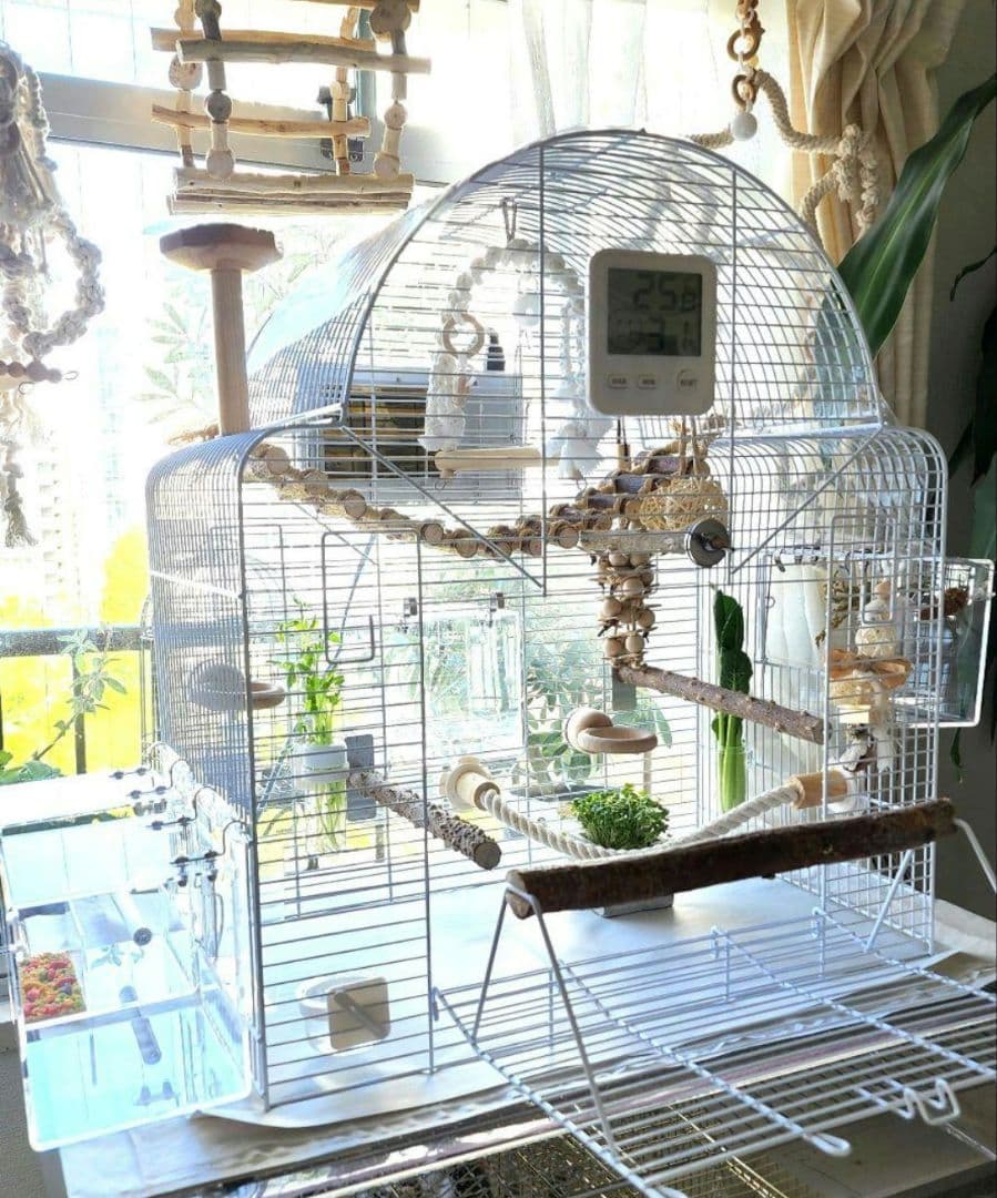 新品 ③ 大型 バードケージ 鳥かご ホワイト インコ 小鳥 ヨーロッパ輸入品