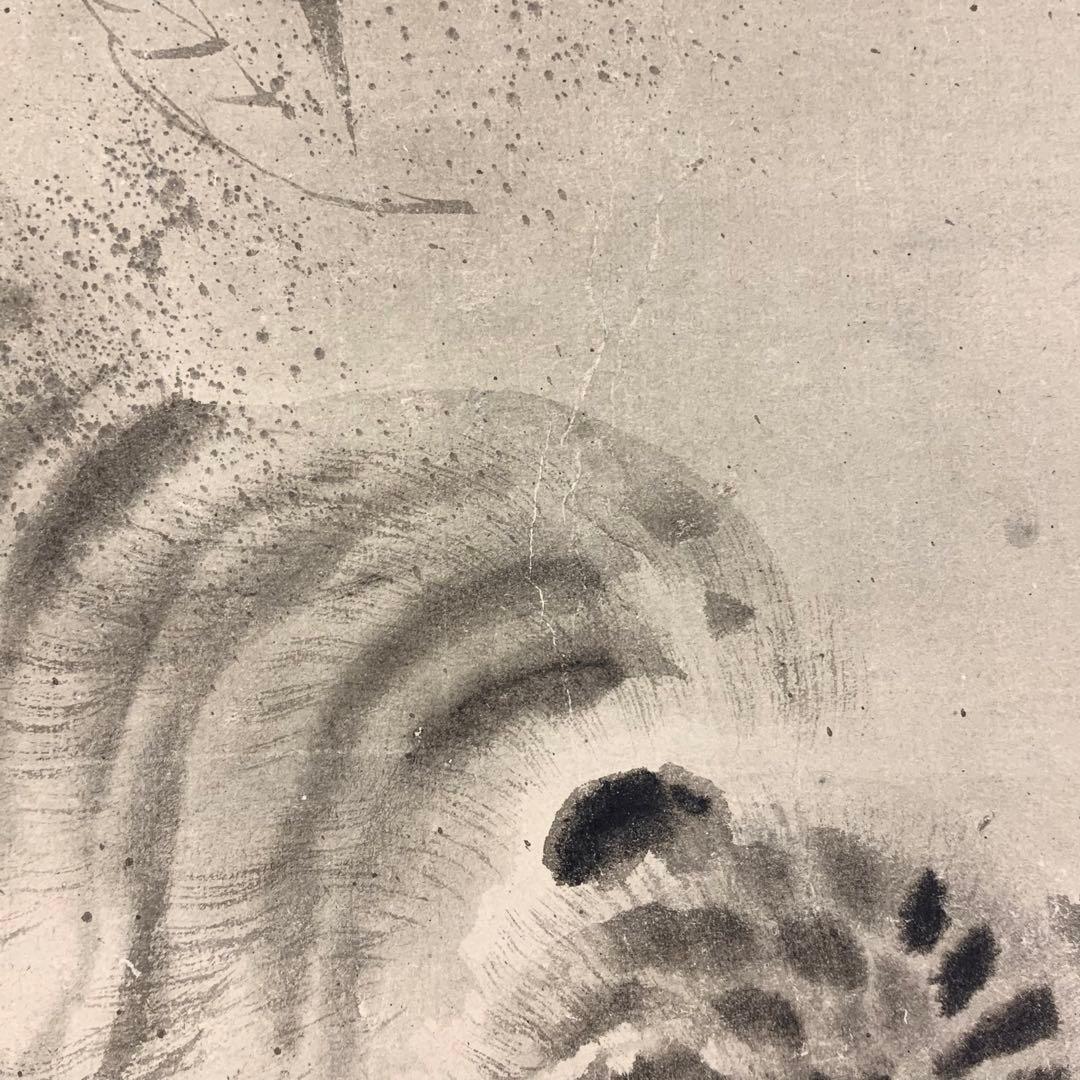 掛軸 狩野探信 虎 水面 水墨画 とら