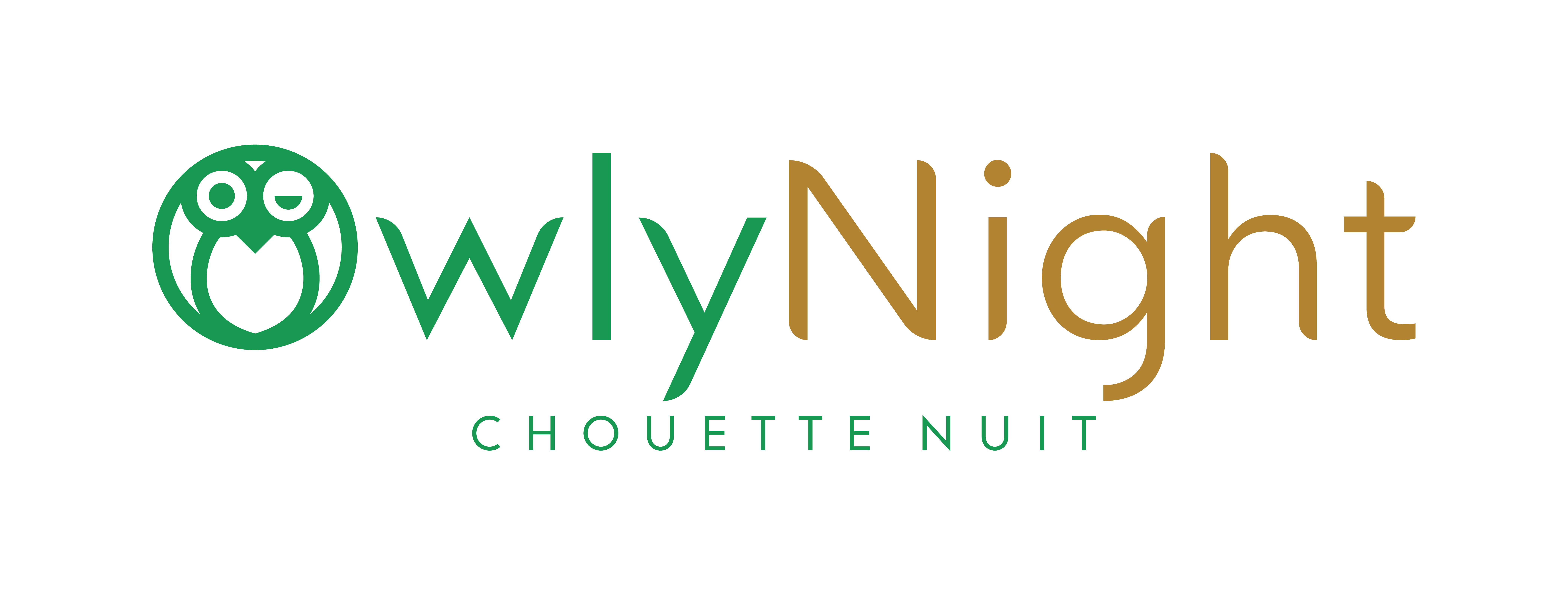 Logo OwlyNight